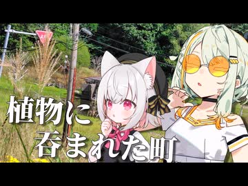 自然に呑まれた遺構に思いを馳せて【北海道有珠山】【ソフトウェアトーク旅行】