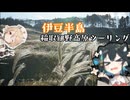 【CB125R】伊豆 稲取細野高原ツーリング【VOICEPEAK車載】