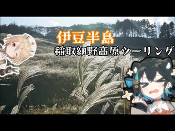 【CB125R】伊豆 稲取細野高原ツーリング【VOICEPEAK車載】