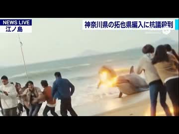 Sora2で生成した拓也さんまとめ　その③