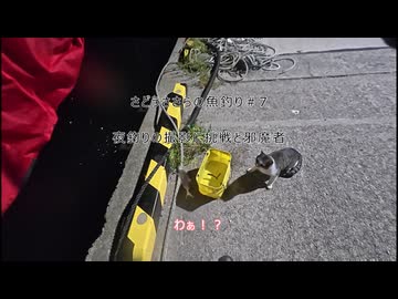 さどうささらの魚釣り#7　夜釣りの撮影に挑戦と邪魔者