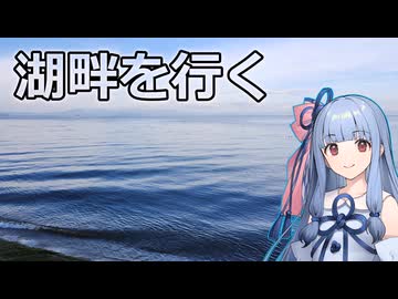 琵琶湖沿いをちょっと歩こう！【徒歩旅行祭2025】