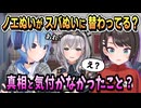 疑惑と真相編 :ノエルのぬいがスバルのぬいに入れ替わってた？ 【大空スバル/白銀ノエル/ホロライブ/切り抜き/ホロライブ切り抜き】