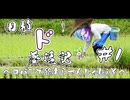 【スト6】田植ド夢追記～コパンで終わらせんじゃねぇぞ～