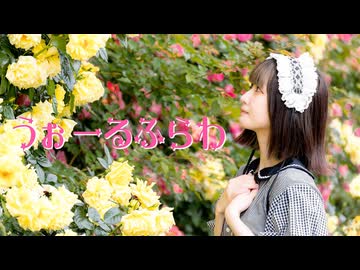 【ちぇり】うぉーるふらわ 踊ってみた【冬】