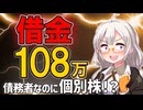 【借金108万】奨学金返済しながら個別株を買った女の家計簿【11月お給料日】