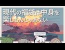 【日記】現代の福袋は中身を楽しむんじゃあない