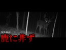 その存在に気付かれるな。【SCP-6448】【ゆっくりSCP解説】