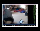 12月1日のシャンタンタジフ③-もやは悪態と言うよりリスナーを物のように扱う傲慢な態度-