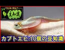 【豆知識】カブトエビに関する10個の豆知識