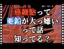 25・12・２　亜鉛嫌いの　がん細胞