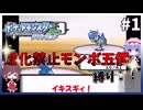 ゆっくり実況　ポケモンダイヤモンド進化禁止モンボ5個縛りpart1