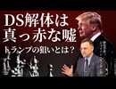 DS解体は真っ赤な嘘：ジェイソン・モーガン氏