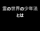 【霊語通訳の世界 本編９】霊の世界の少年法についての話