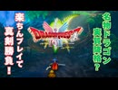 【Lv12ローラ姫】不死身の勇者ロトテガの楽ちん旅【ドラクエ1リメイク実況プレイ】