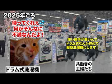 【ドラム式洗濯機】縦型洗濯機に戻る人が続出！？ドラム式離れが加速している理由 #猫マニ #猫ミーム