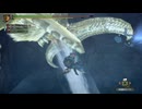 [モンスターハンター3G]#4「ナバル思ったよりつよかったな」[生放送アーカイブ]