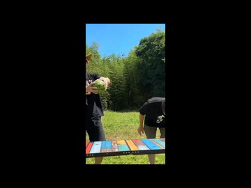 スイ海