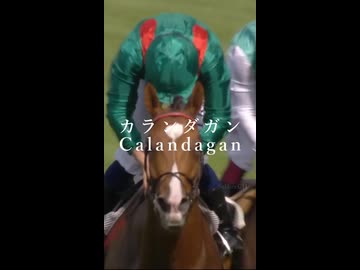 競馬 '25 ジャパンカップ ～STARTINGFORCE～ #競馬