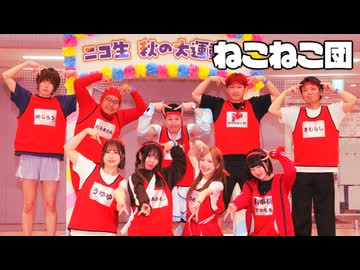 【ニコ生】ねこねこ団 障害物競走【秋の大運動会2025】