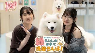 声優 縁かうんと『縁のままに浅草さんぽ！』｜鈴木みのり 花井美春