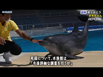 【追悼】ありがとう「オキちゃん」（琉球新報）