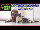 【豆知識】犬や猫に与えてはいけない人間の食べ物