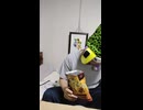 キャバレロ フラットトラック500のファンティック・FANTICのオートバイ・バイクが故障追突死亡事故出会い頭交差点交通事故死傷重傷接触事故暴走過失危険運転直進右直事故すり抜けスリップ事故0祈願