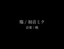 殤／初音ミク【暁】