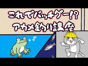 これでバッチグー！？アカメ釣り講座