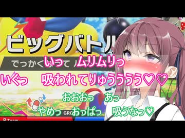 全力で楽しむんほんほエアライダー25【ソフトウエアトーク実況プレイ】