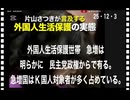 25・12・３　朝鮮半島出身者　生活保護のカモにされ続けた日本。政治家もグル　日本の政治家の97％が朝鮮半島出身者の帰化人政治家だからで有る。