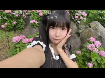 しちゅー。(2025/6/26) 『小田原城を見に行く』お散歩配信