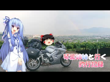 琴葉姉妹と行く釣行記録（車載編part36 67）