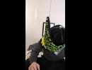 TC50ミニのハスクバーナ・HUSQVARNA（スウェーデン）のバイクのライダー・バイカーが故障追突死亡事故出会い頭交差点交通事故死傷重傷接触事故暴走過失危険運転直進右直事故すり抜けスリップ事故0祈願