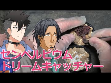 【多肉植物】低音コンビのセンペルビウムチャンネル＃8 猛暑で傷んだドリームキャッチャーの仕立て直し【ソフトウェアトーク劇場】