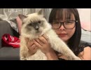 くしゃみ！　川崎エリート・ナガセエマ