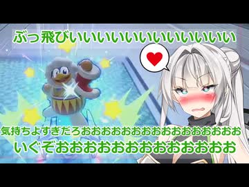 全力で楽しむんほんほエアライダー26【ソフトウエアトーク実況プレイ】