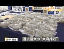 【ベトナム国籍】関西空港で大麻31キロ押収　末端価格1億5500万円　開港以来最大の量　関東在住の2人