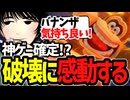 神ゲー確定！？あらゆるものを破壊できて感動するけーぐらむ【ドンキーコング バナンザ】