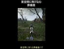 【エルデンリングナイトレイン】亜空間に落ちる葬儀屋バグ#Shorts #エルデンリング #ゲーム #eldenring #ナイトレイン