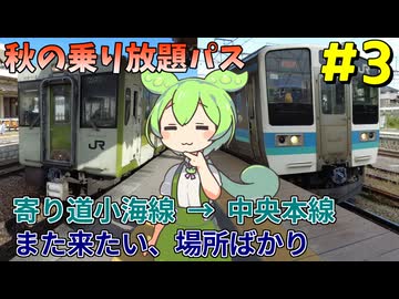 【VOICEVOX旅行】秋のお出かけパスで中央本線ほぼ制覇の旅なのだ！#3【小海線野辺山/山梨市】