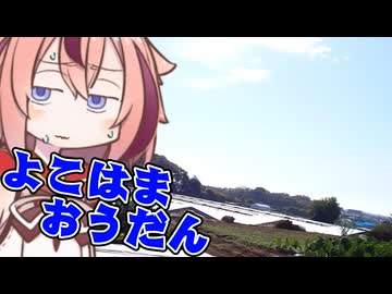 めいかーず・すくらんぶる！！横浜横断編【徒歩旅行祭2025】