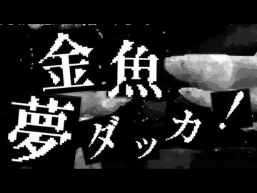 金魚夢ダッカ!