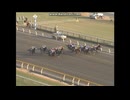 2006 ジャパンカップダート (GI)　アロンダイト