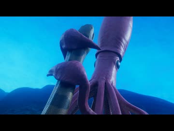 最強王図鑑 ～The Ultimate Tournament～　第36話　【スペシャルエキシビション】ダイオウイカ VS ティタノボア