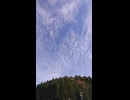 近所のコンビニ行った時に撮したやつ(*´ー｀*)