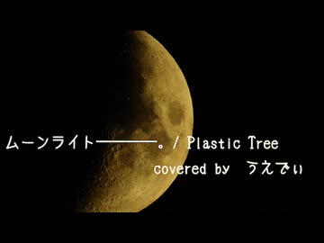 【VOCALOIDカバー】ムーンライト――――。 / Plastic Tree　feat.花隈千冬【ボカロV系カバー祭2025冬】