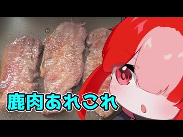 鹿肉あれこれ【猫使アルのせめて一品】