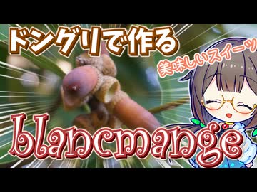 ドングリ拾ってスイーツを作る！【ブラマンジェ】